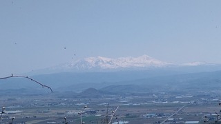 DSC_3653