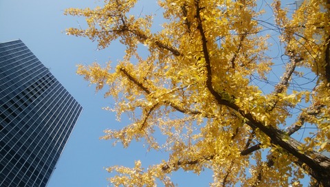IMG_20201208_110007