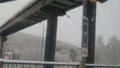 IMG_20201109_082901