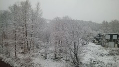 IMG_20201109_082941