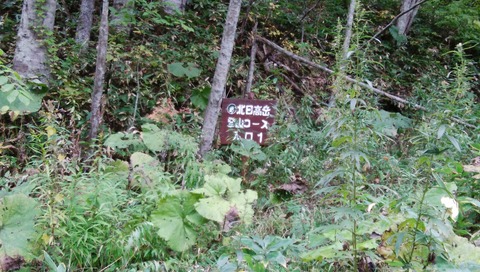 IMG_20201010_110106