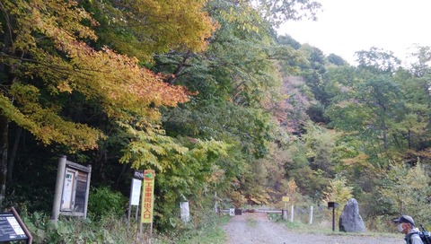 IMG_20201010_102128