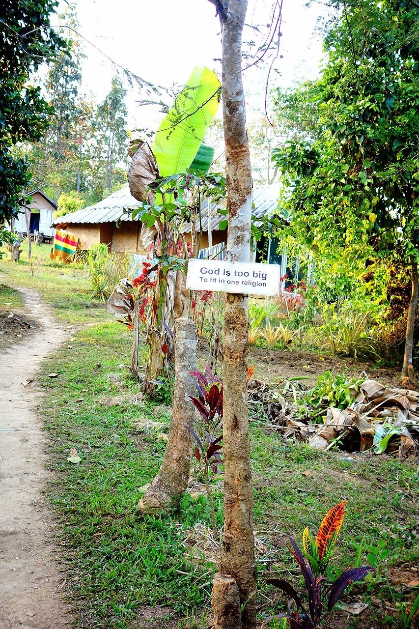 マインドフルファーム