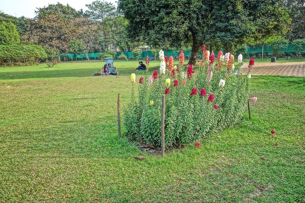 モイダン公園
