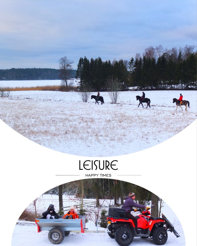 Wilhelmsberg（トゥルクの群島）