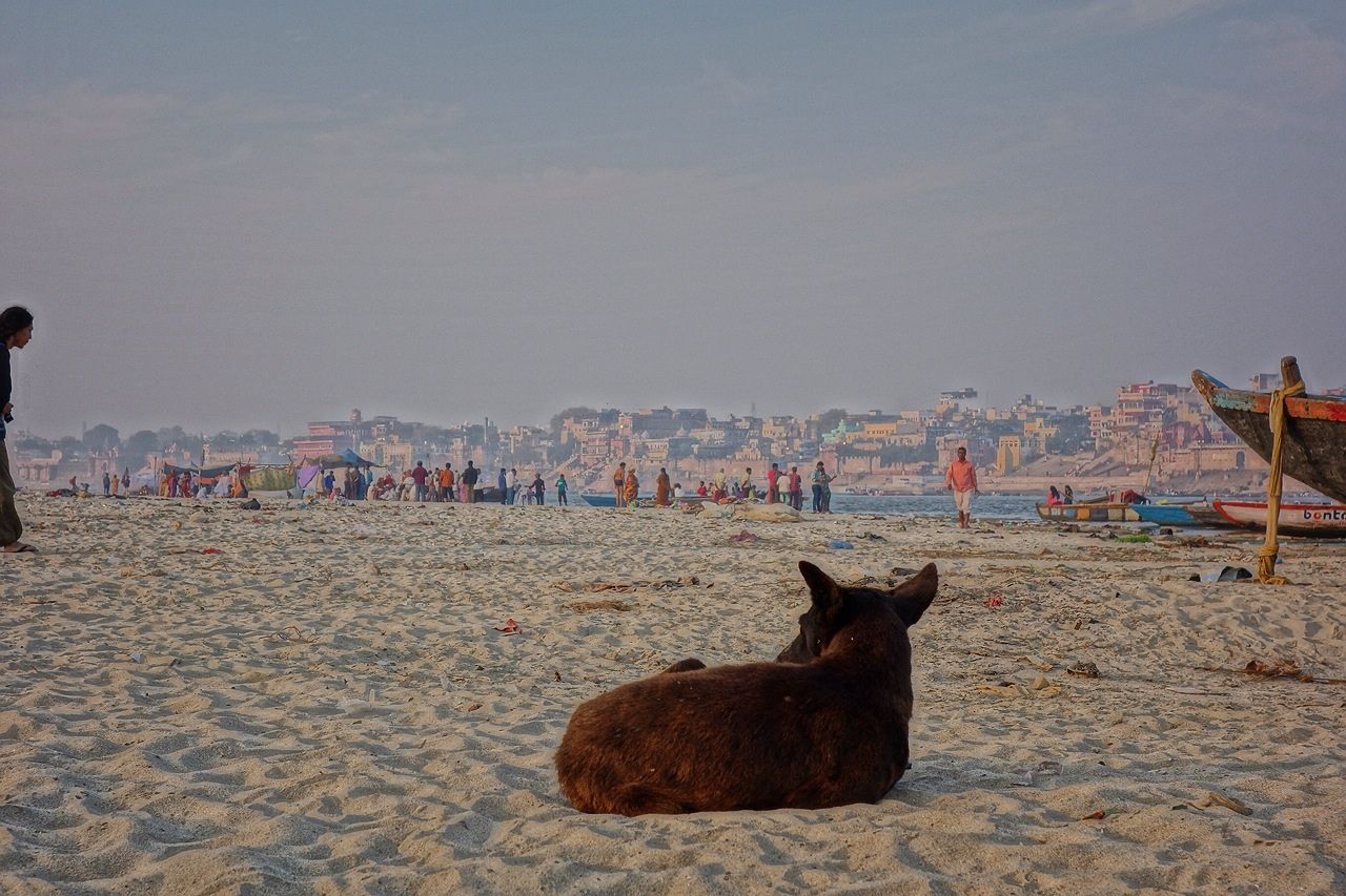 ガンジス川の向こう側