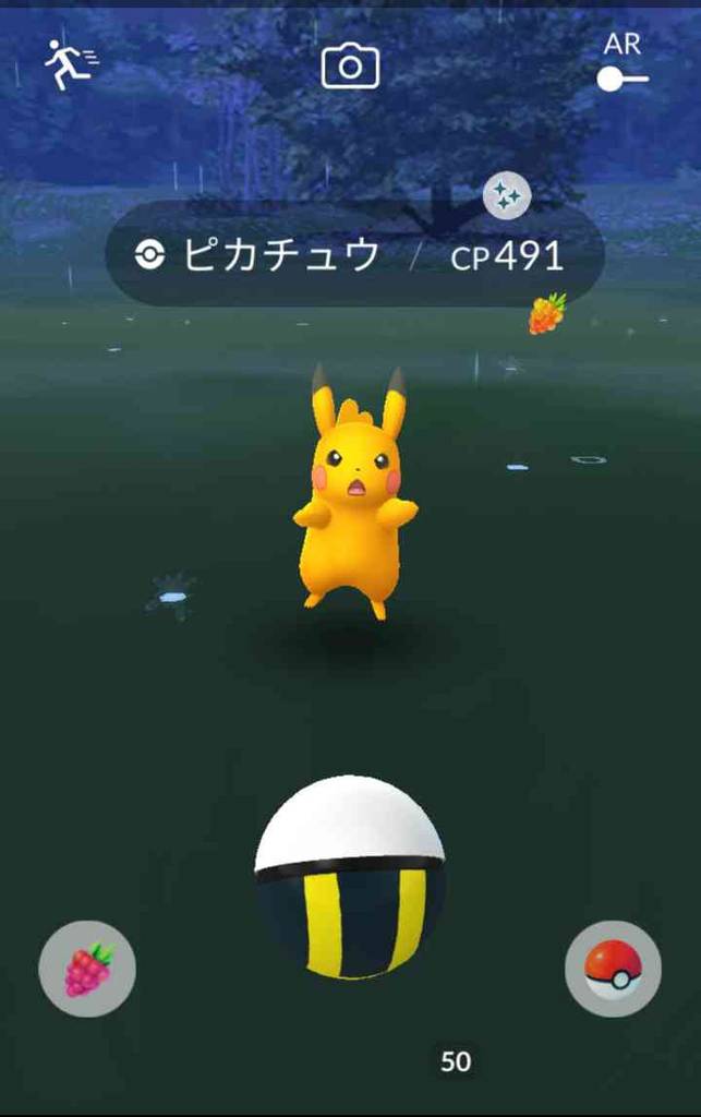 甥っ子がジーランスが出現するニュージーランドに研修旅行 そして いつか北海道でもポケモンイベントが開催 道産子トレーナーの ポケモンgo 奮闘記