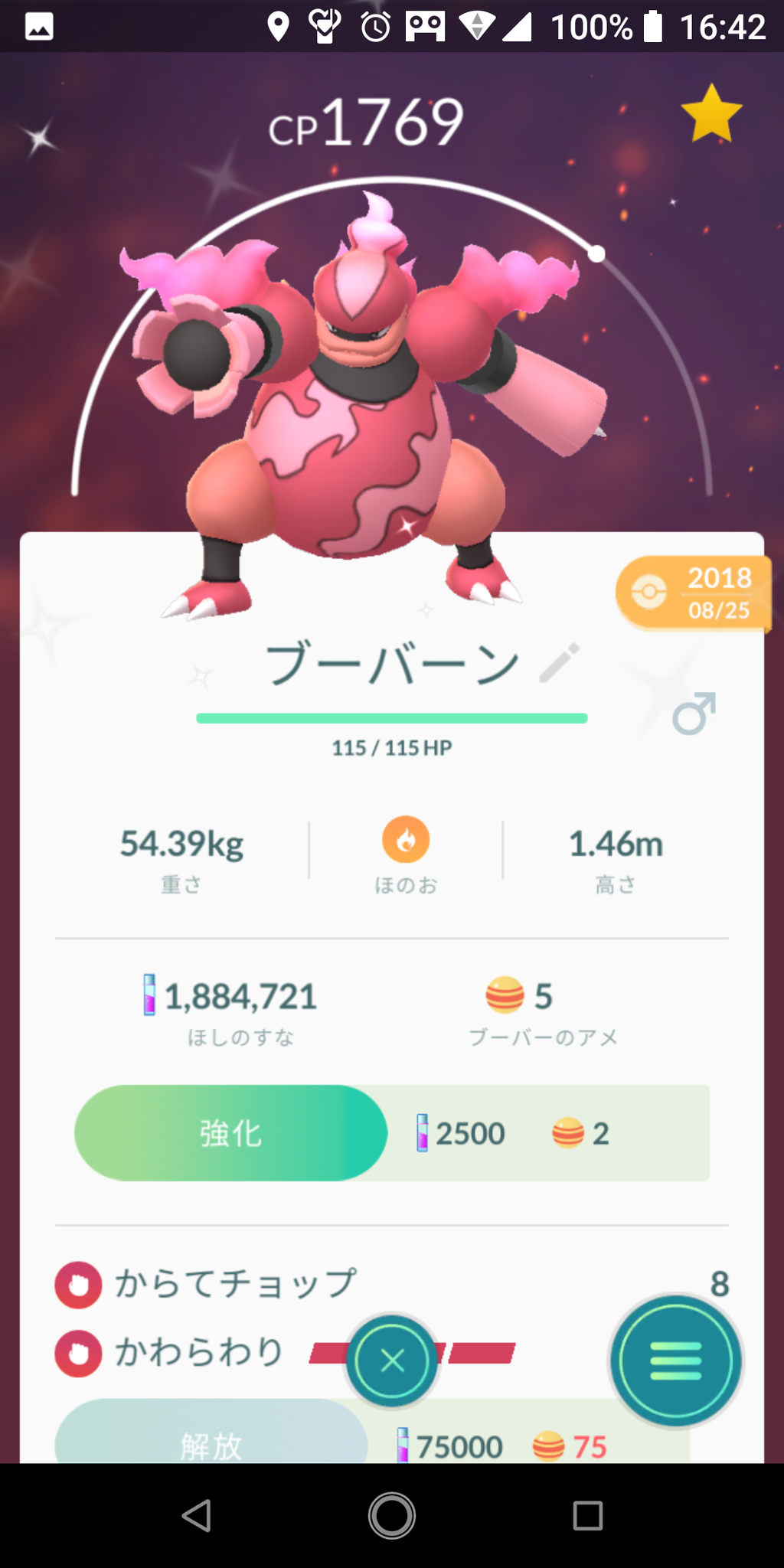 エレキブル ブーバーン どっち
