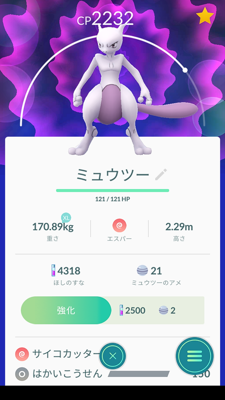 ポケモン 剣 盾 個体 値 計算 ポケモン剣盾 個体値の解説と確認方法