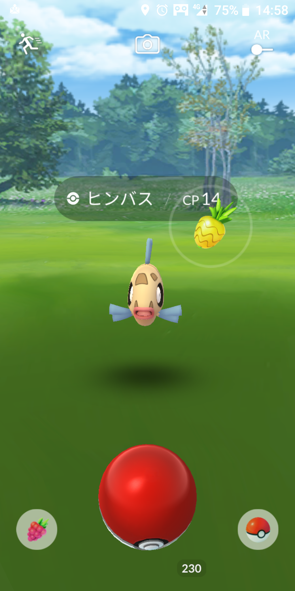 2 24 日 フィールドリサーチでパールルの色違いget 二種類とも色違いの進化を出来ました O O 道産子トレーナーの ポケモンgo 奮闘記