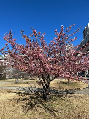 C7D3DFD7-20D4-4320-8158-980D68FD4096