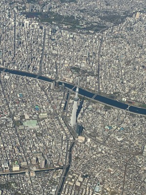 33D203B7-E011-43FB-8556-B7D0D8DA18F2