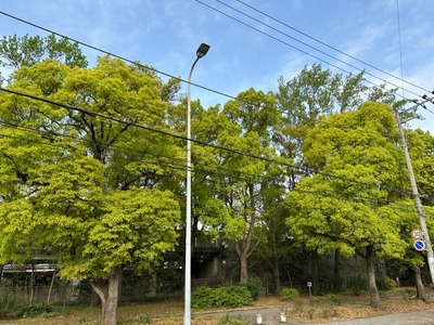 AC36D2A4-6E1A-46AE-9EFE-202BF5DB6996