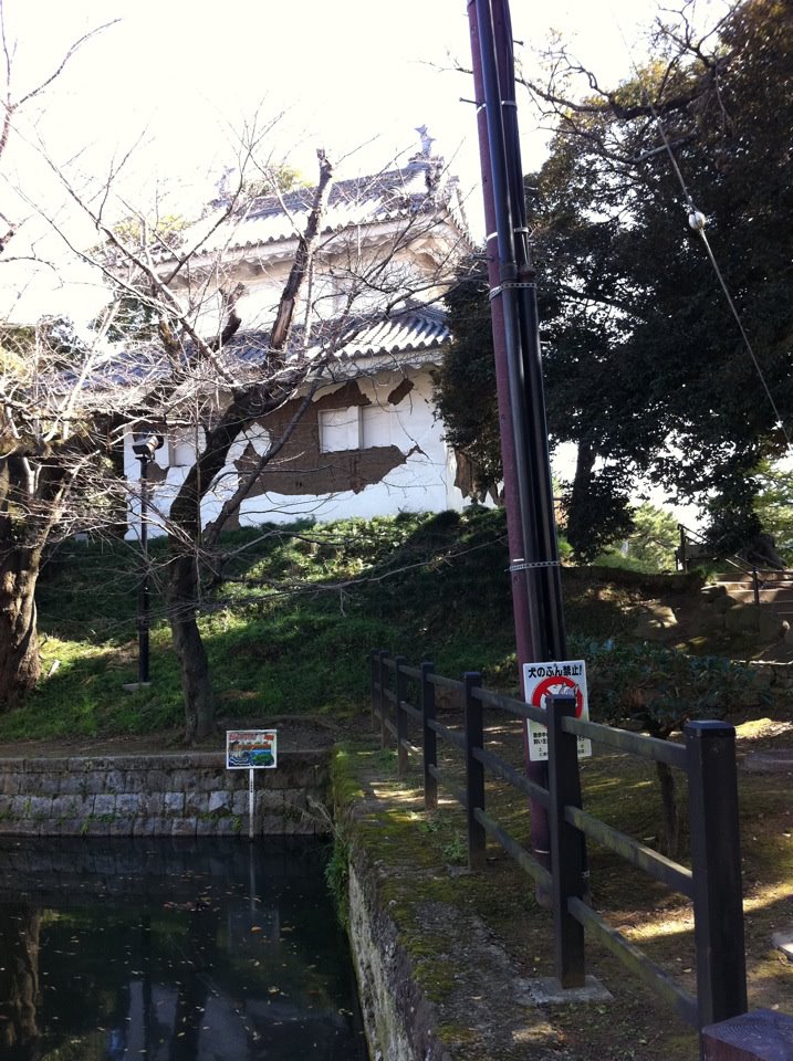 377937_236488303078221_100001511592039_695056_1530290964_n