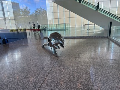IMG_8635