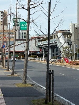 918E40C2-D588-4EE9-A8CA-6B8D433390D2