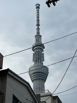 IMG_8665