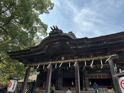 6C50AFEA-4B40-4631-A1DC-5597B60F96CD