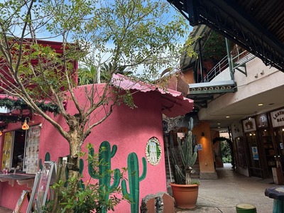 C9F22933-8DF6-4ED6-BE4E-0FD2BBF5A96E