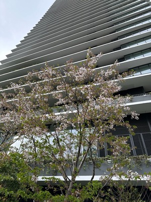 A0E4D28D-F2F6-4D6A-B1C2-172A67C114CC