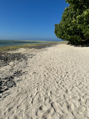 F07394CC-31D8-4155-858F-299245FCED77