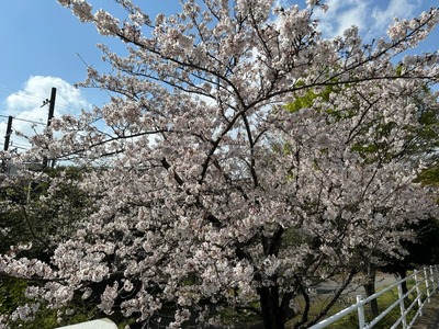 DC26256A-FB62-4778-A85A-0811FA852835