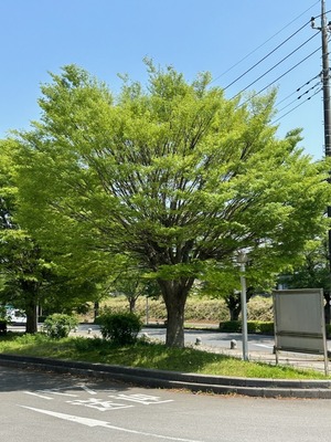 075CE152-6FD3-4593-AF25-CAD23F27D30B