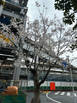 11C128FD-DBD3-4B28-9705-405D173E37A8