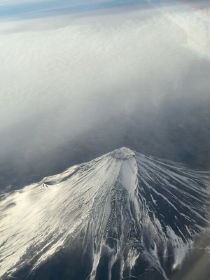 8E8B6E77-9AF5-400D-82EF-3D2FCA21DF83