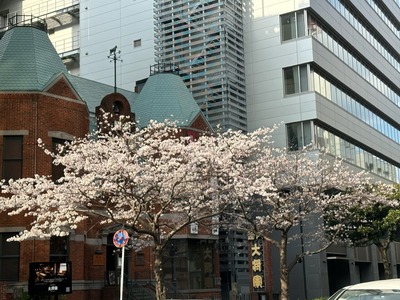 DD49F6B0-CD11-4096-B071-7E402E7AA783