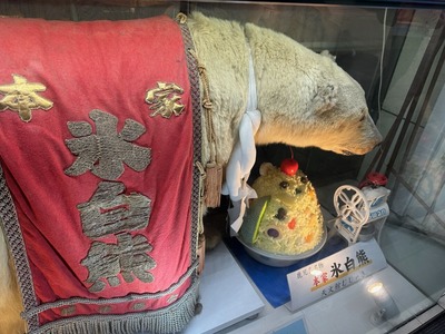 B290E87F-0B8A-40D8-AB53-C7BF14FABBE6