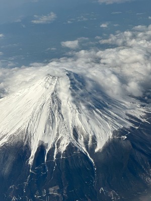 331B9A22-DA6C-46EA-BA76-9FB17EE8371E