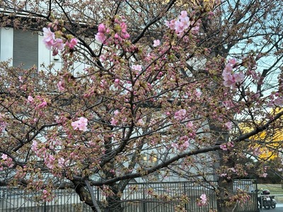 3B35CBAC-F92C-4C6F-852E-BD7E9792CF8E