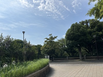 IMG_6270
