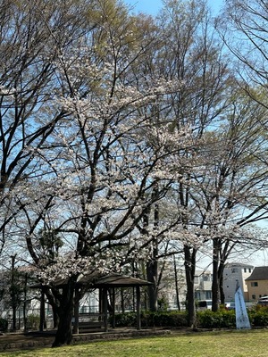 D6CEF58A-0FB2-4A90-93A0-921E5E946563