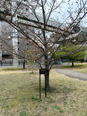 94DE8F22-0AEA-4175-811C-D5E9ECAD1D87