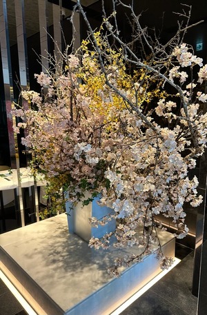 9C3FF964-54C4-49C8-B787-E7C76EF1655F