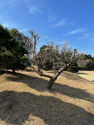 40B682F0-88B9-4F25-857D-A6E3490D350A