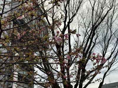 39FC7F8F-EB1E-4C51-B836-F86B0829A013