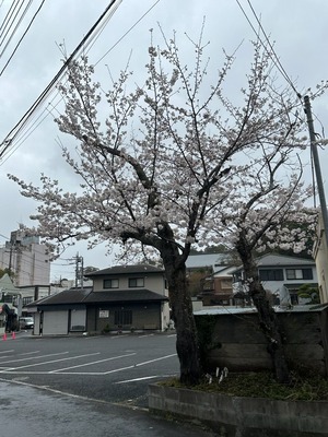 64EADC0F-D8DE-4634-B128-3EF7C8687DE0