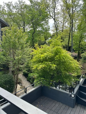 56B732C3-C8F7-4707-BF0E-27FF59F95AB7