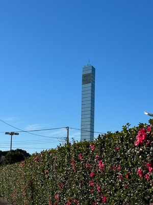 4B8F170A-2BCC-4A23-B32A-5BE2D1E48464