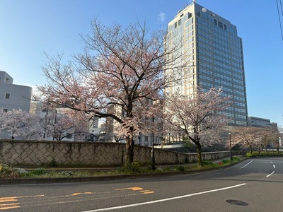 7F7DA873-1EA6-45F1-90B5-4EC6D7348D6E