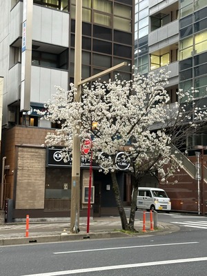 FF3FCE4D-27B4-4948-9CD7-F1F187699C95