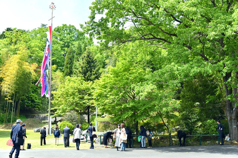 御神水と鯉のぼり