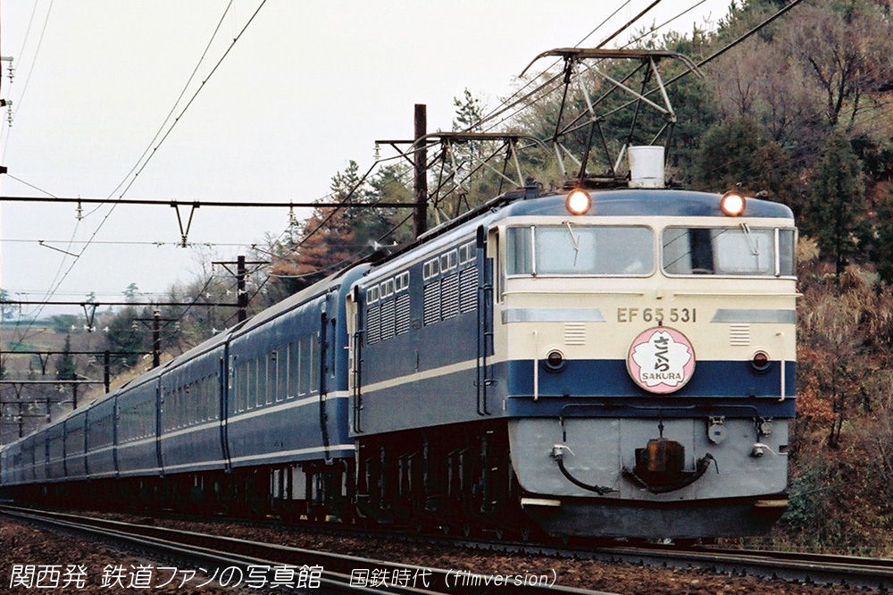 1/50 EF65500番台 特急色 電気機関車 さくら　ブルートレイン KATO 2024年4月新商品 EF65 500 P形 特急色と、20系寝台特急