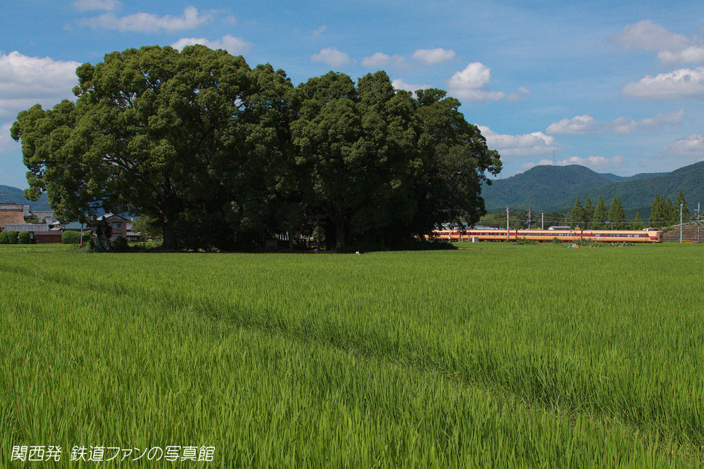 千代川 5 鎮守の森の向こうを 関西発 鉄道ファンの写真館 撮影地ガイド 千代川 5 鎮守の森の向こうを 関西発 鉄道ファンの写真館 撮影地ガイド