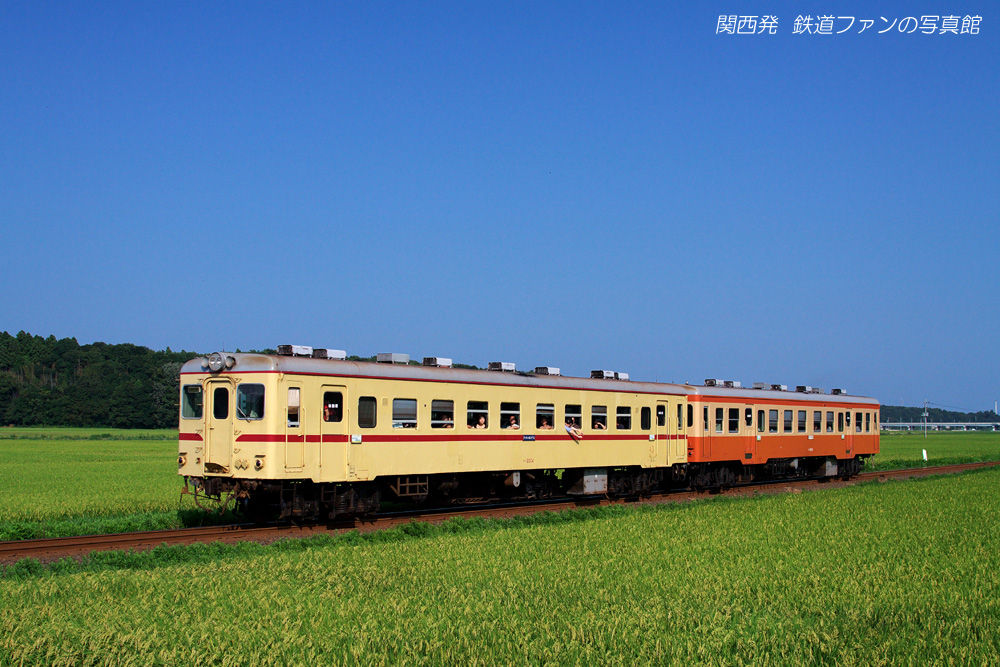 ひたちなか海浜鉄道 中根 2 関西発 鉄道ファンの写真館 撮影地ガイド