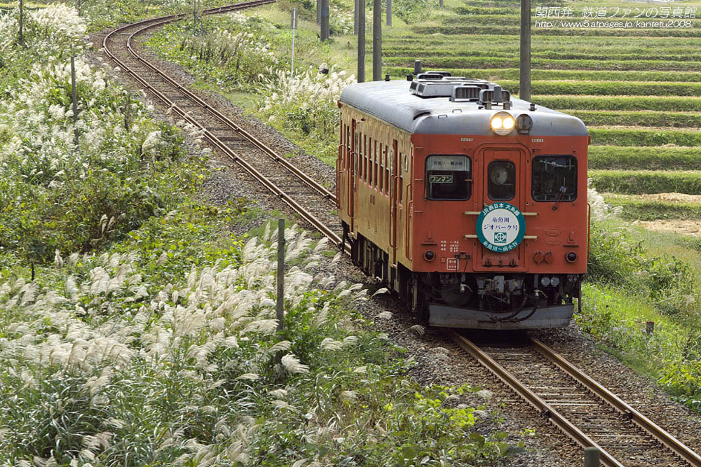 根知 2 ススキ揺れる路 関西発 鉄道ファンの写真館 撮影地ガイド