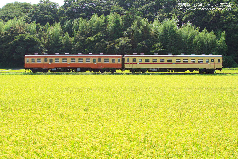 ひたちなか海浜鉄道 中根 1 関西発 鉄道ファンの写真館 撮影地ガイド ひたちなか海浜鉄道 中根 1 関西発 鉄道ファンの写真館 撮影地ガイド